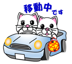 A white cat which plays dodgeball sticker #13187670
