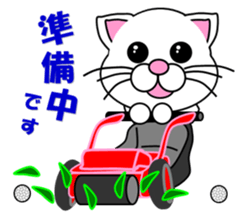 A white cat which plays golf sticker #13190609
