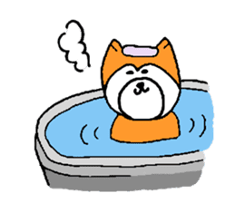 my dog momo-chan sticker #13190755