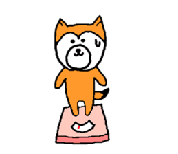my dog momo-chan sticker #13190756