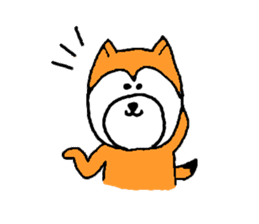 my dog momo-chan sticker #13190764