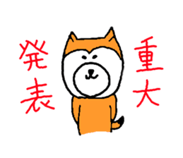 my dog momo-chan sticker #13190777