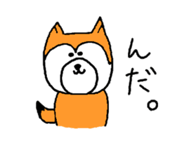 my dog momo-chan sticker #13190779