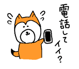 my dog momo-chan sticker #13190780