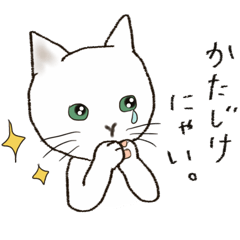 Daily conversation of never Nyante cat