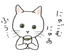 Daily conversation of never Nyante cat sticker #13196030