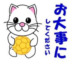 A white cat which plays handball sticker #13197550