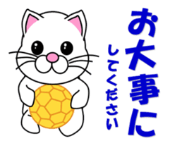 A white cat which plays handball sticker #13197550