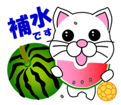 A white cat which plays handball sticker #13197559