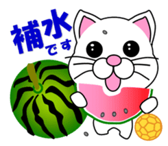 A white cat which plays handball sticker #13197559