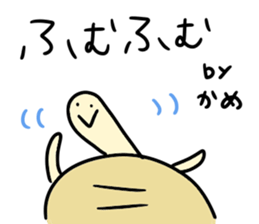 KAME-chan stickers sticker #13198014