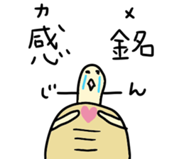 KAME-chan stickers sticker #13198016