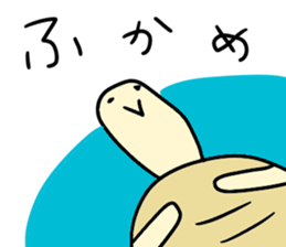 KAME-chan stickers sticker #13198041