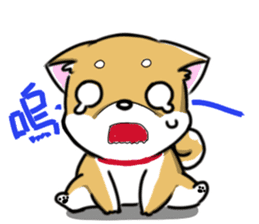 Shiba Inu_Q sticker #13198049