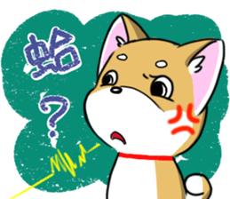 Shiba Inu_Q sticker #13198051
