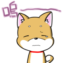 Shiba Inu_Q sticker #13198077