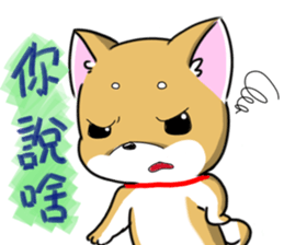 Shiba Inu_Q sticker #13198080