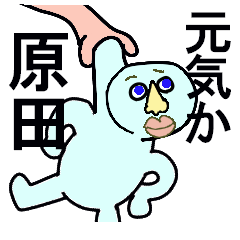 A GUY CARES FOR HARADA