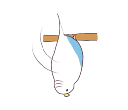 Budgerigar mood part3 sticker #13199164