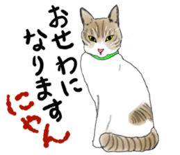 Charming cat CHARMIE sticker #13199878