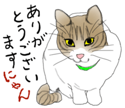 Charming cat CHARMIE sticker #13199879