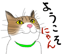 Charming cat CHARMIE sticker #13199880