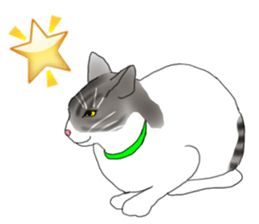 Charming cat CHARMIE sticker #13199886