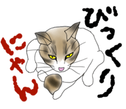 Charming cat CHARMIE sticker #13199887