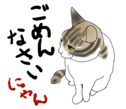 Charming cat CHARMIE sticker #13199889