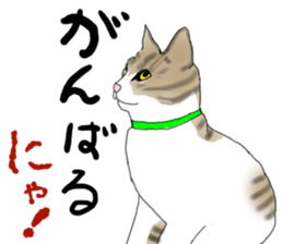 Charming cat CHARMIE sticker #13199892