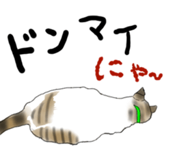 Charming cat CHARMIE sticker #13199893