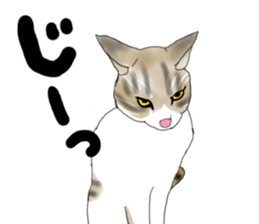 Charming cat CHARMIE sticker #13199895