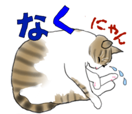 Charming cat CHARMIE sticker #13199896