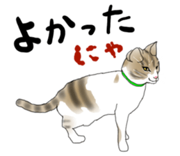 Charming cat CHARMIE sticker #13199897