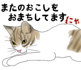 Charming cat CHARMIE sticker #13199898