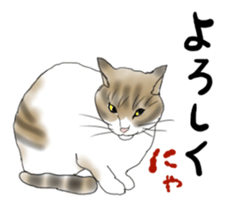 Charming cat CHARMIE sticker #13199899