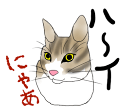 Charming cat CHARMIE sticker #13199900