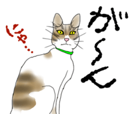 Charming cat CHARMIE sticker #13199903