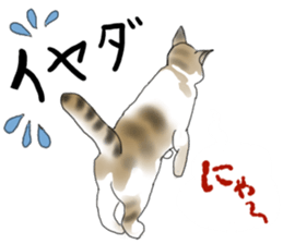 Charming cat CHARMIE sticker #13199904