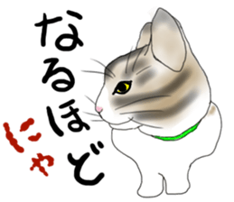 Charming cat CHARMIE sticker #13199905