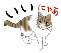 Charming cat CHARMIE sticker #13199907