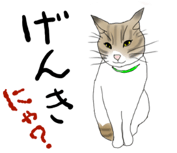 Charming cat CHARMIE sticker #13199908