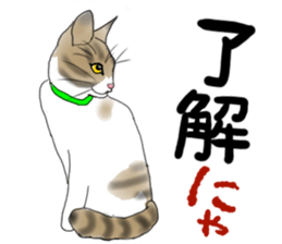 Charming cat CHARMIE sticker #13199909