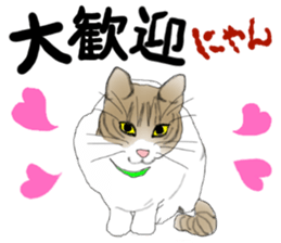 Charming cat CHARMIE sticker #13199913