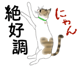 Charming cat CHARMIE sticker #13199914