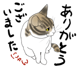 Charming cat CHARMIE sticker #13199916