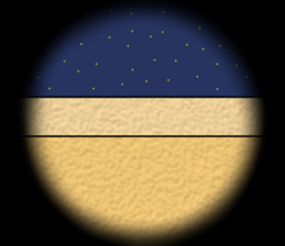 kumadasan1 sticker #13200552