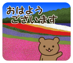 The HOKKAIDO dialect animals sticker #13201143