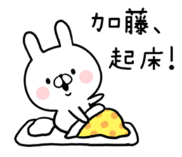 Kato's rabbit sticker sticker #13201482