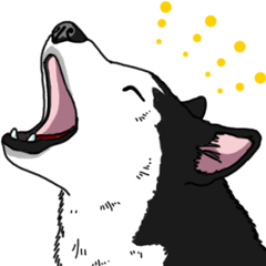 Daily Siberian husky Cheerful guy